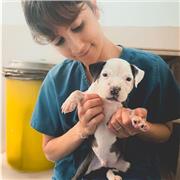 Veterinaria con vocación docente. Cuento con el master en formación de profesorado.